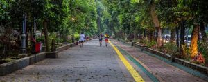 Jalur pedestrian Sistem Satu Arah (ssa).